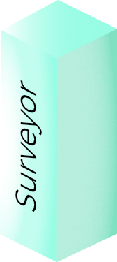 Others - Surveyor
