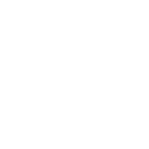 TikTok Icon